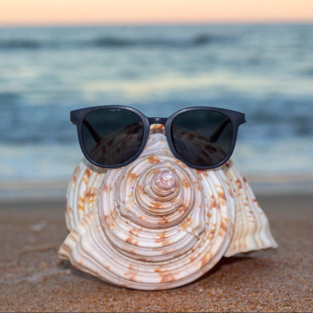 OG Eco Sunglasses